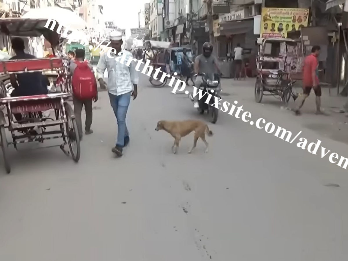 India201.jpg