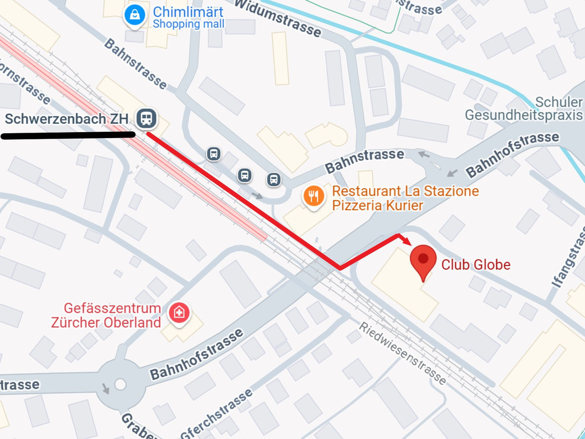 Swiss101.jpg