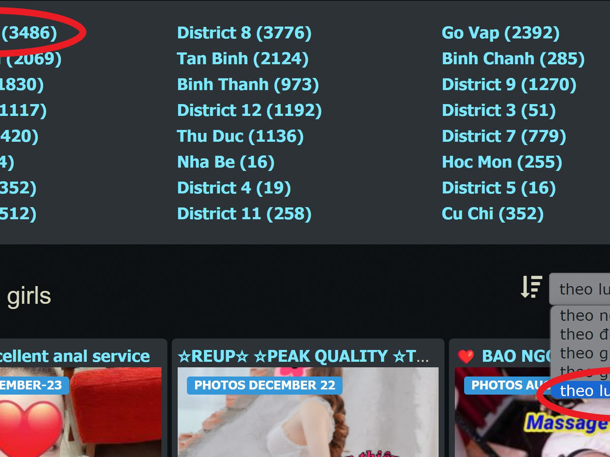 Viet783.jpg