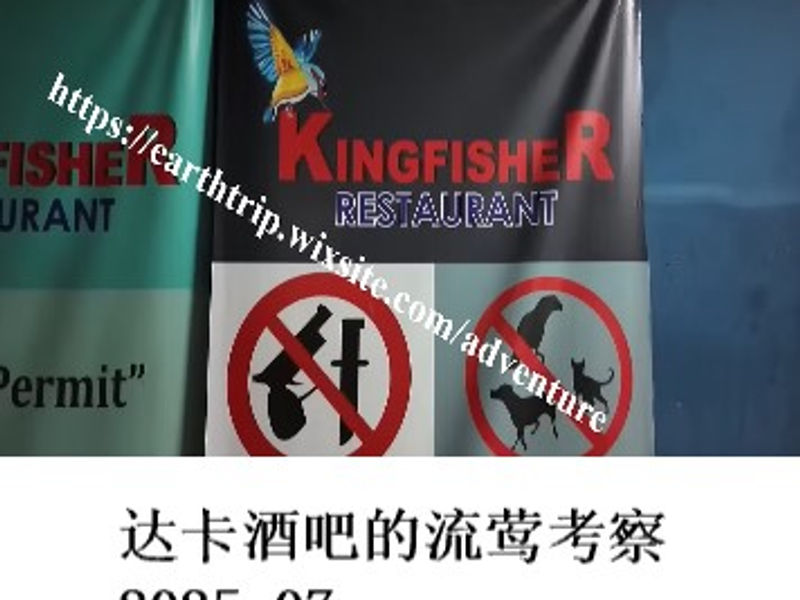 达卡酒吧的流莺考察     桑楚   2025.07