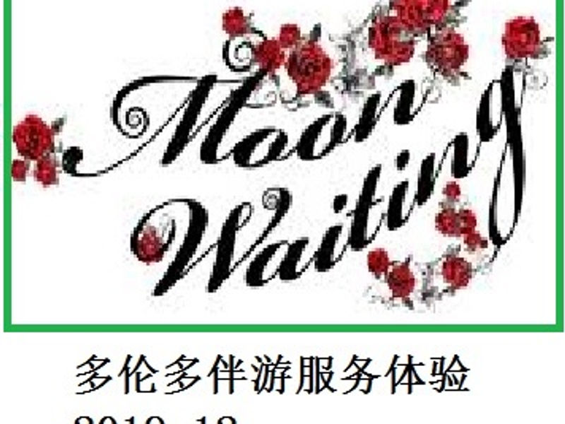 多伦多伴游服务体验 Renai 2019.12