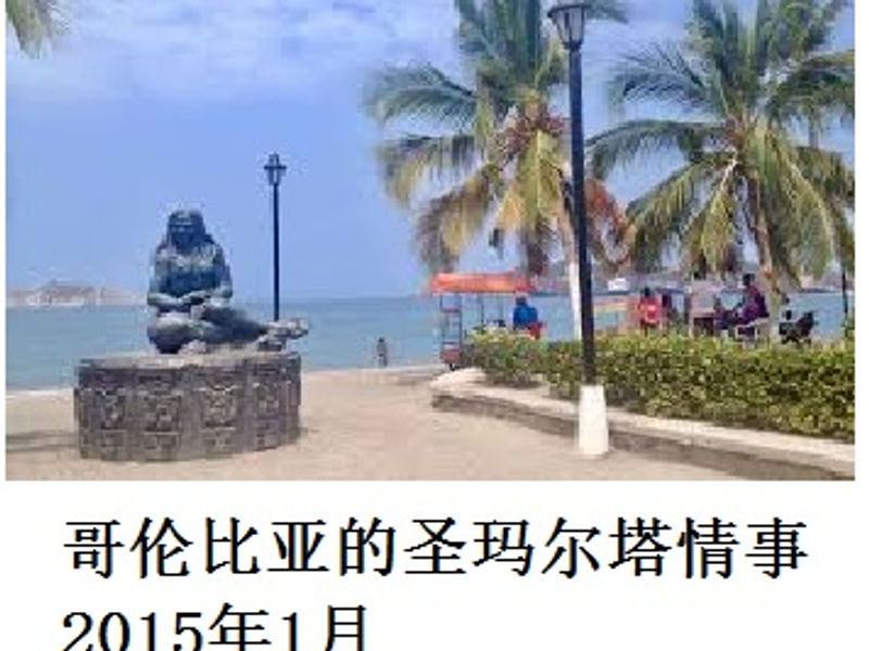 哥伦比亚的圣玛尔塔情事 Gorilla 2015年1月
