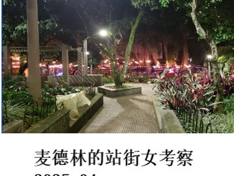 麦德林的站街女考察    雪山孤松  2025.04