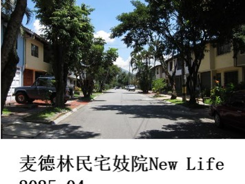麦德林民宅妓院New Life       雪山孤松   2025.04