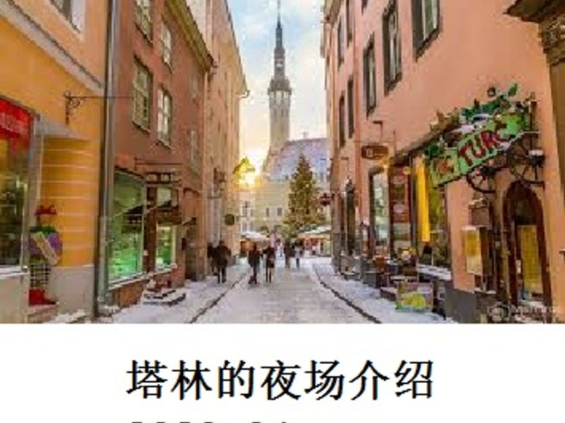塔林的夜场介绍     Shirafu    2020.04