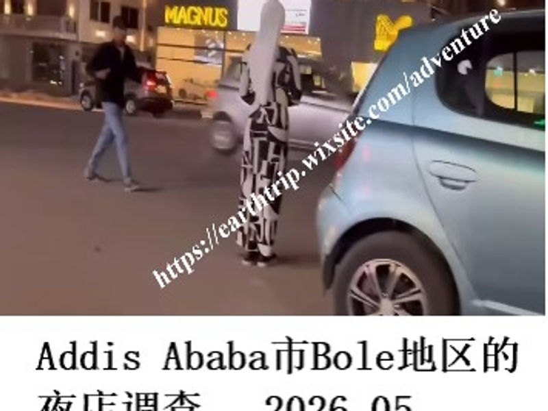 Addis Ababa市Bole地区的夜店调查    桑楚  2026.05