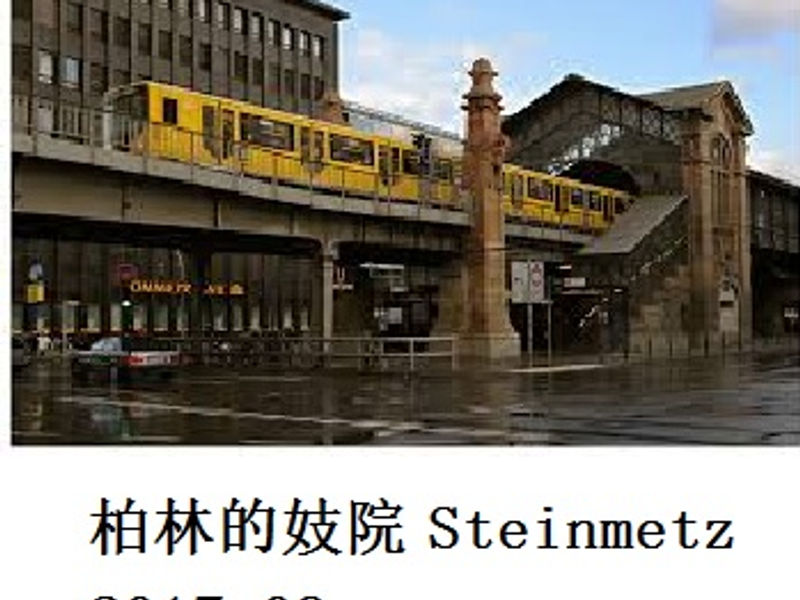 柏林的妓院「Steinmetz」 水草 2017.09