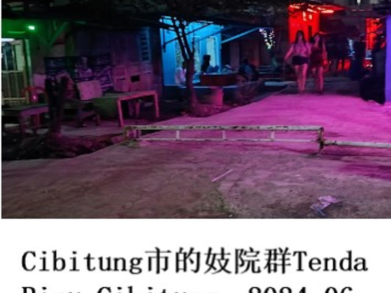 Cibitung市的妓院群Tenda Biru Cibitung      Alex   2024.06