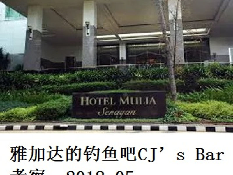 雅加达的钓鱼吧 CJ’s Bar 考察 蛟蛟 2018.05