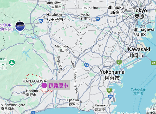 神奈川県伊勢原市可以打炮的粉色沙龙 Apple 2025.07