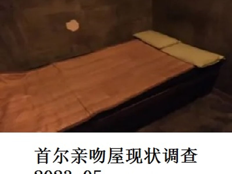 首尔亲吻屋现状调查      蛟蛟    2023.05