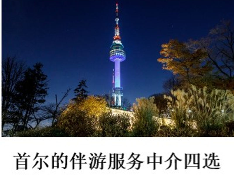 首尔的伴游服务中介四选       King X   2024.06