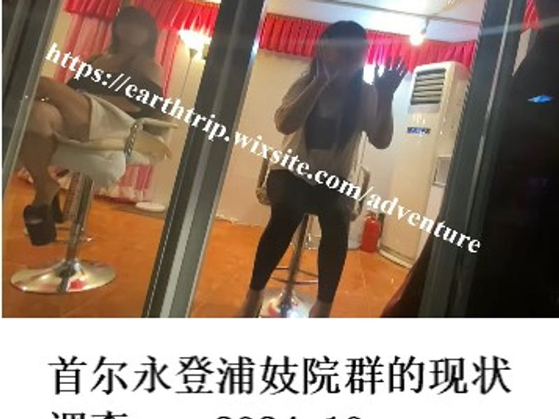 首尔永登浦妓院群的现状调查      Elephant   2024.10