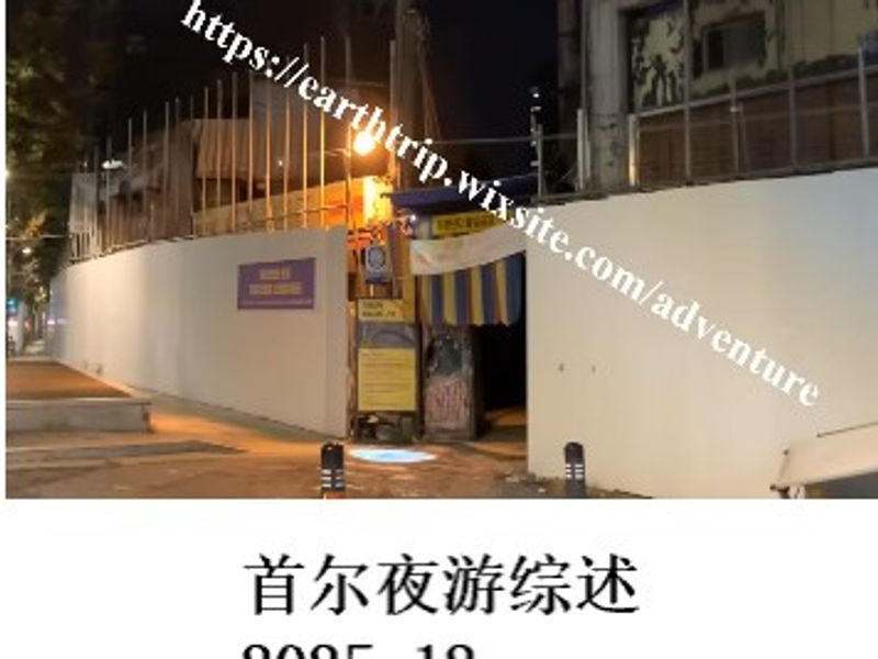 首尔夜游综述    姣姣  2025.12