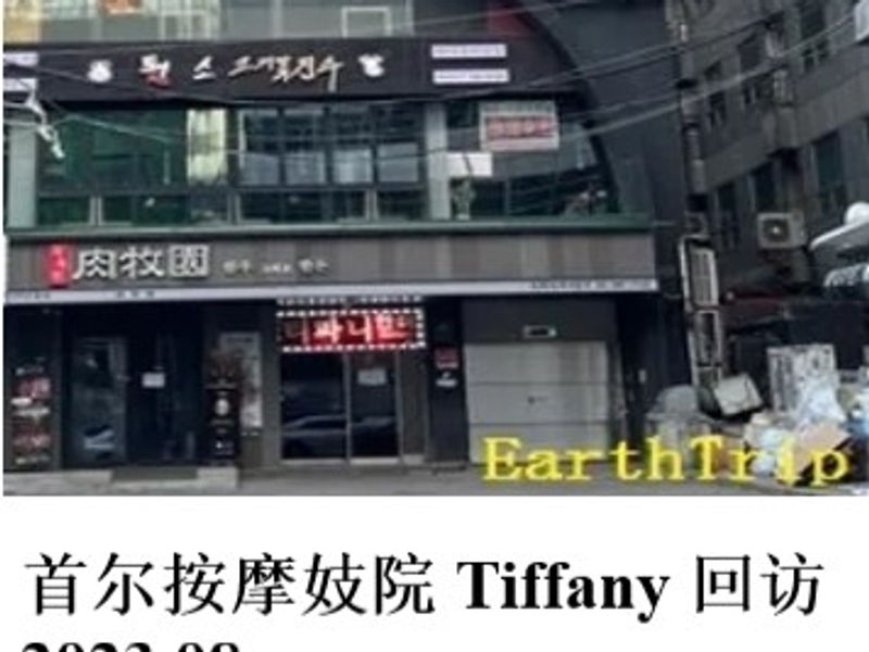 首尔按摩妓院 Tiffany 回访 洛神花 2023.08