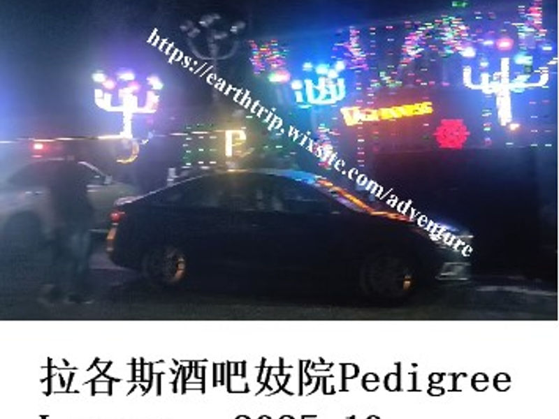 拉各斯酒吧妓院Pedigree Lounge    雪山孤松  2025.10