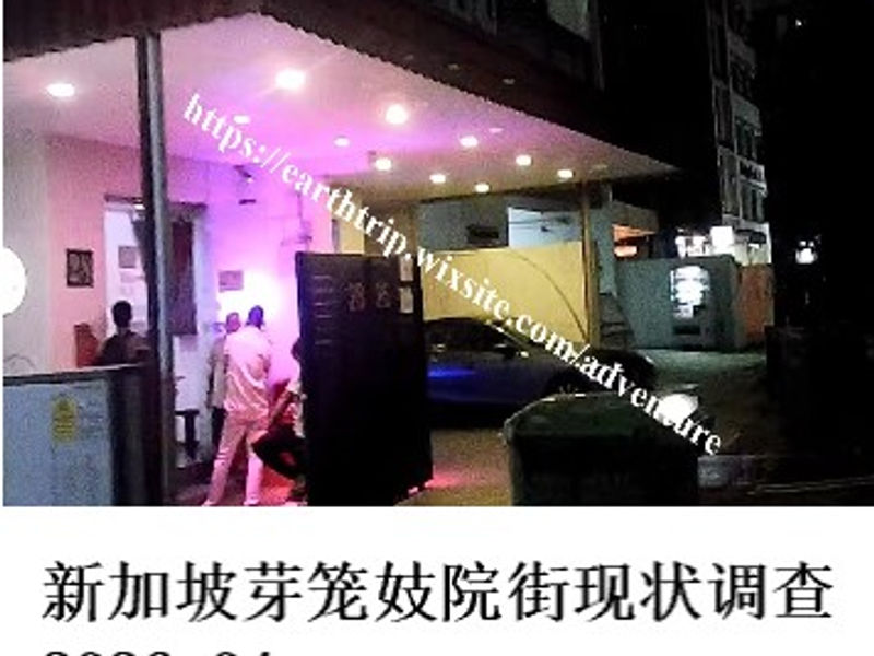 新加坡芽笼妓院街现状调查    护猫使者  2026.04