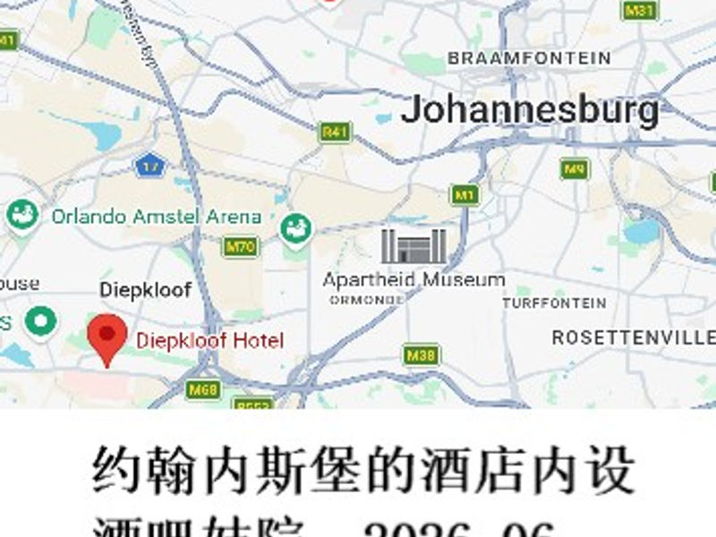 约翰内斯堡的酒店内设酒吧妓院 雪山孤松 2026.06