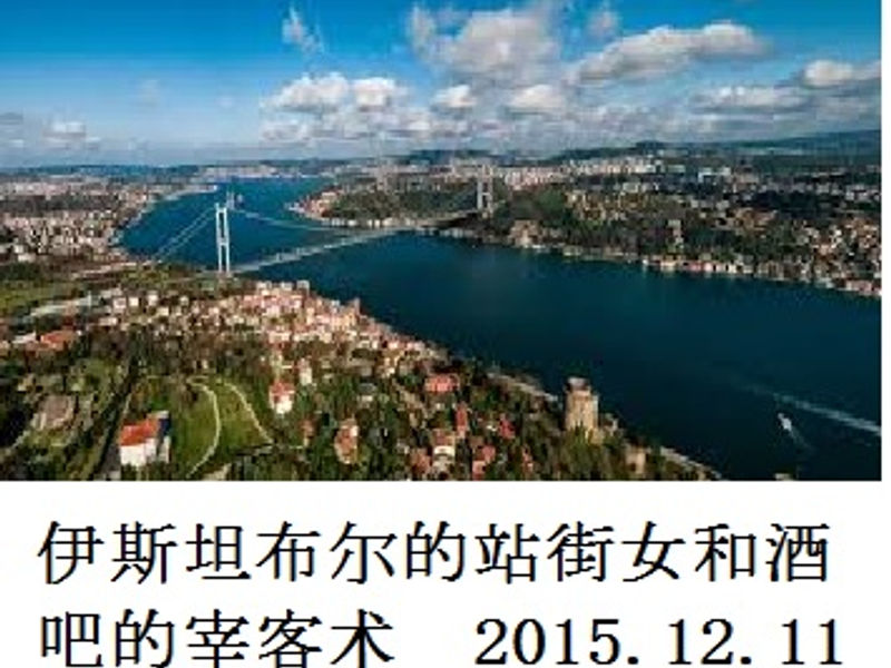 伊斯坦布尔的站街女和酒吧的宰客术 蛟蛟 2015.12.11