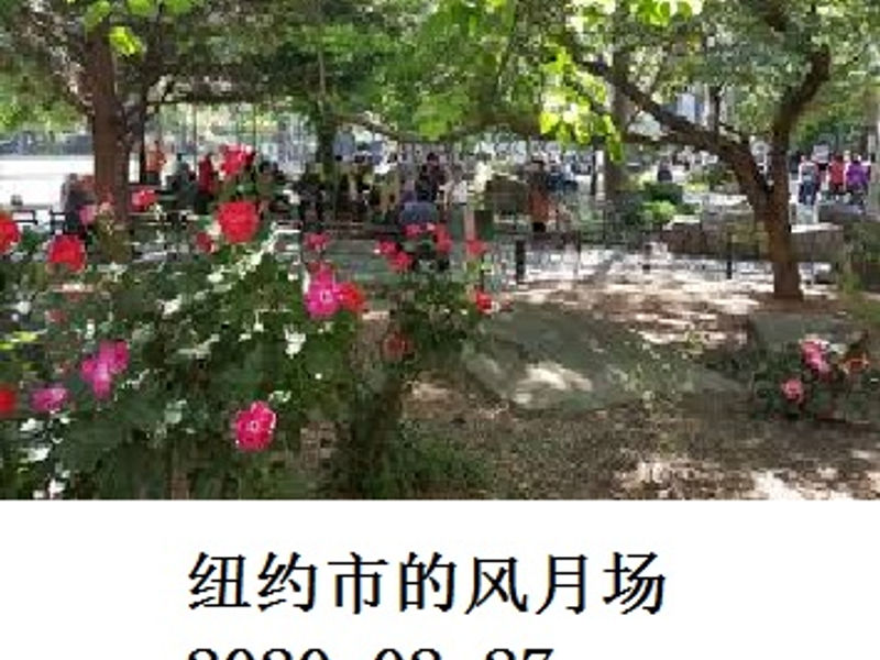 纽约市的风月场 Shirafu 2020.02