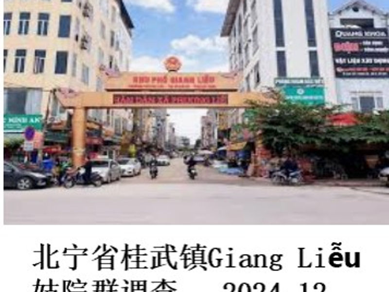 北宁省桂武镇Giang Liễu妓院群调查    夜行僧  2024.12