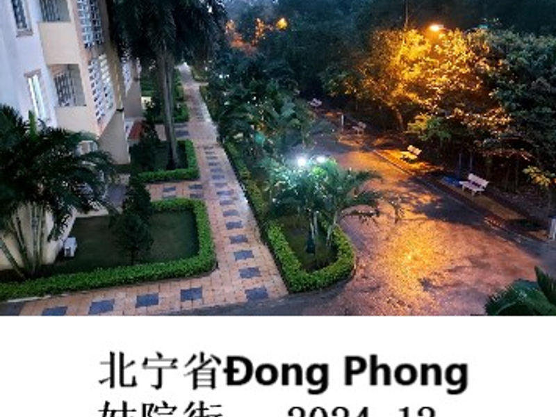 北宁省Đong Phong 妓院街      夜行僧  2024.12