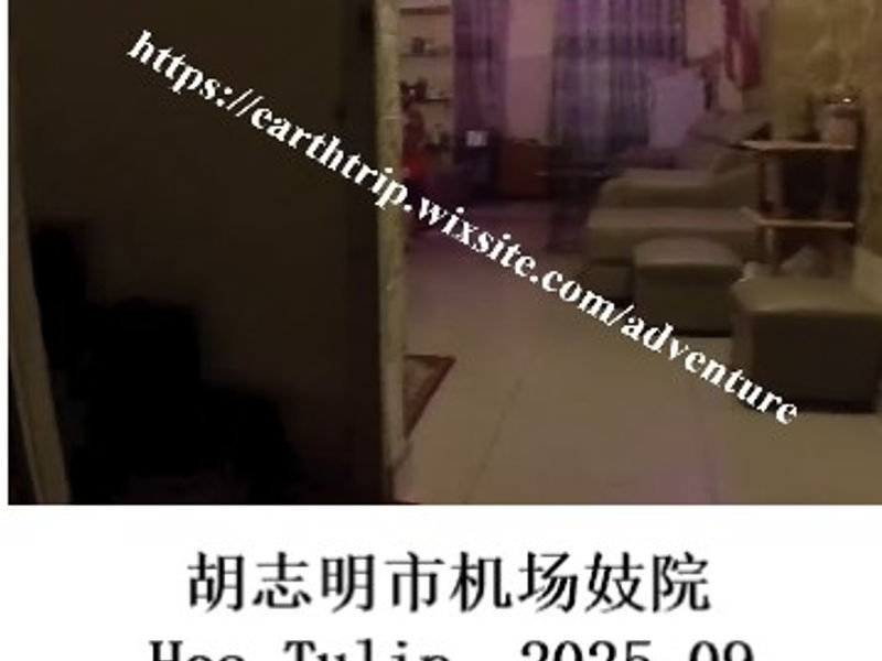 胡志明市机场妓院Hoa Tulip    护猫使者  2025.09