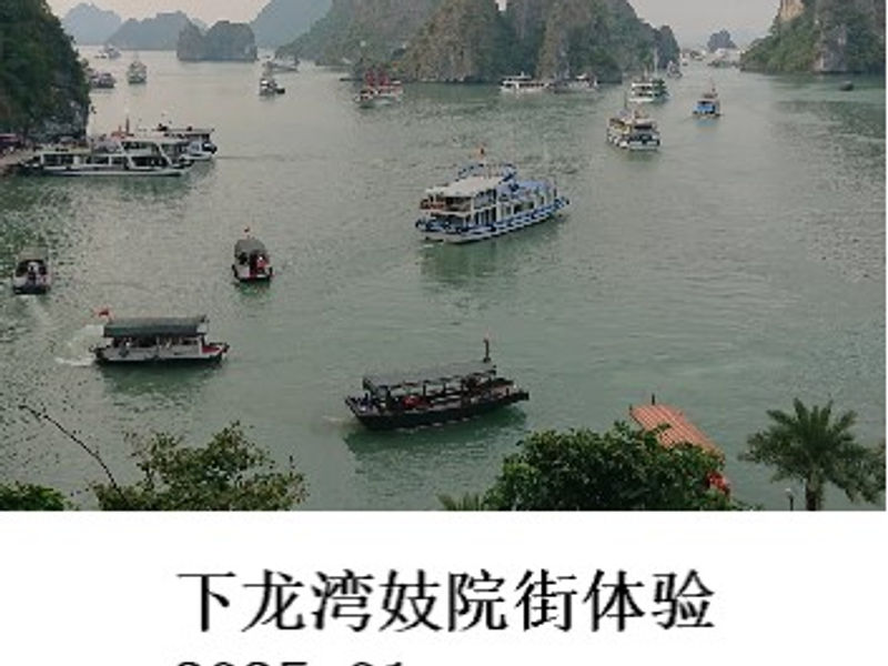 下龙湾妓院街体验 夜行僧 2025.01